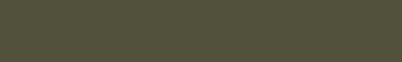 zindebanner2
